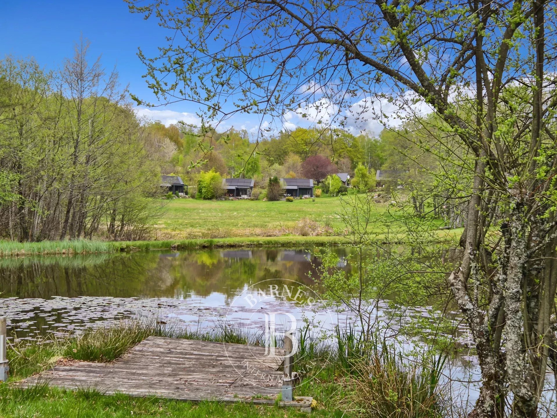 Gîte Champs-sur-Tarentaine-Marchal  -  ref 87014897 (picture 3)
