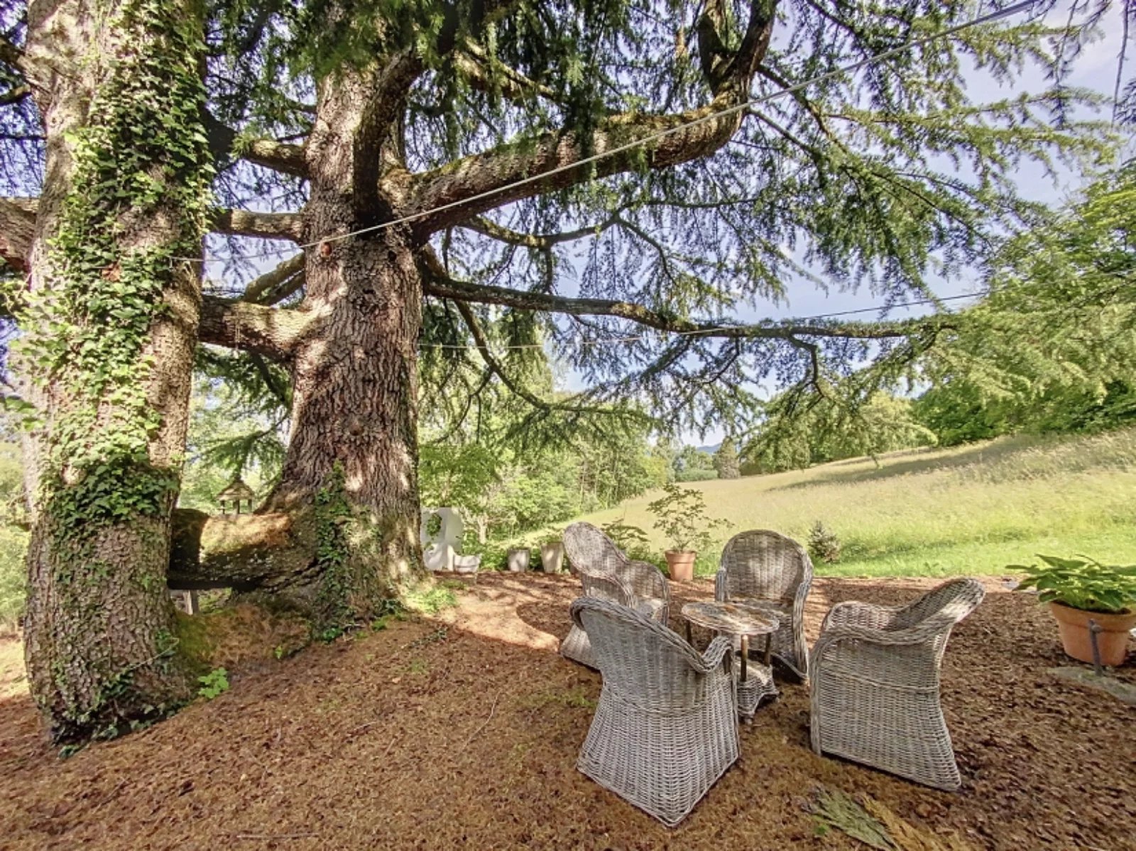 Villa panoramique avec piscine et pool house, grand terrain