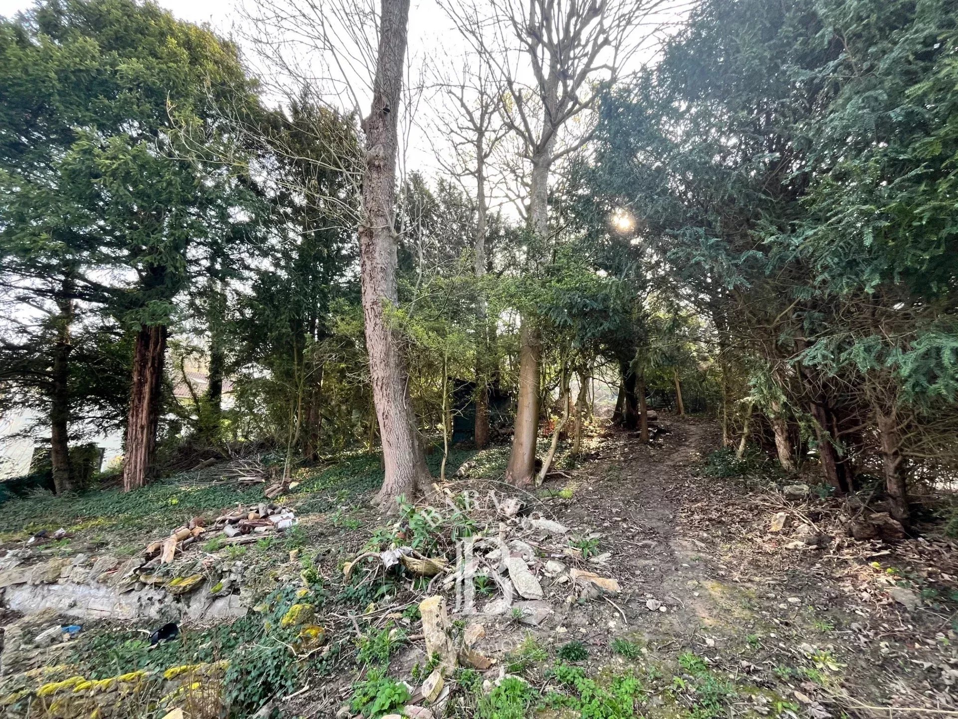 Terrain constructible Le Pecq  -  ref 86849175 (picture 3)