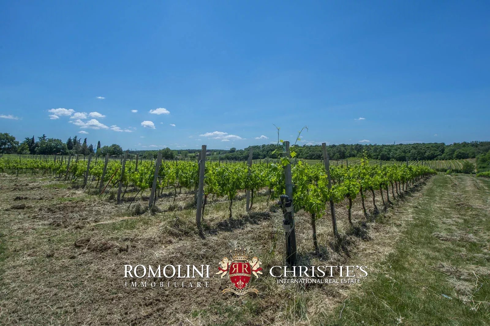 7 Bedroom Vineyard's Image 14