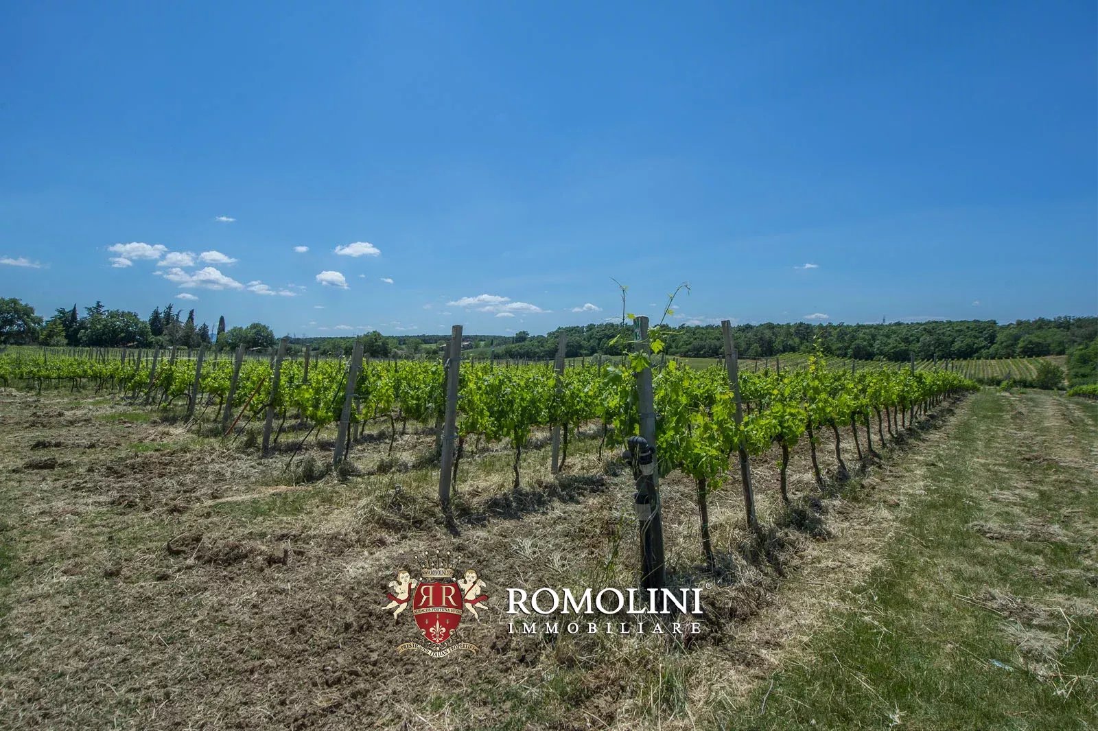 7 Bedroom Vineyard's Image 14