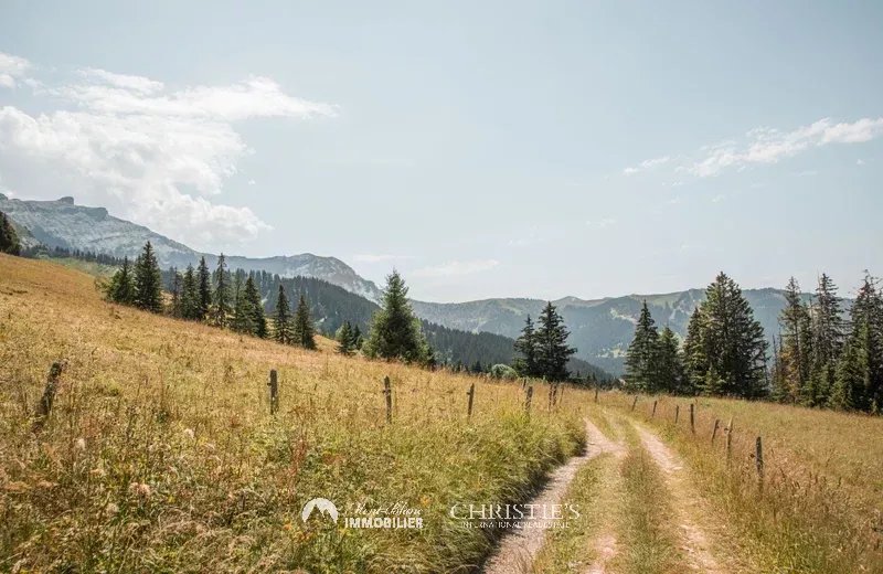 Agence immobilière de SAS MBI