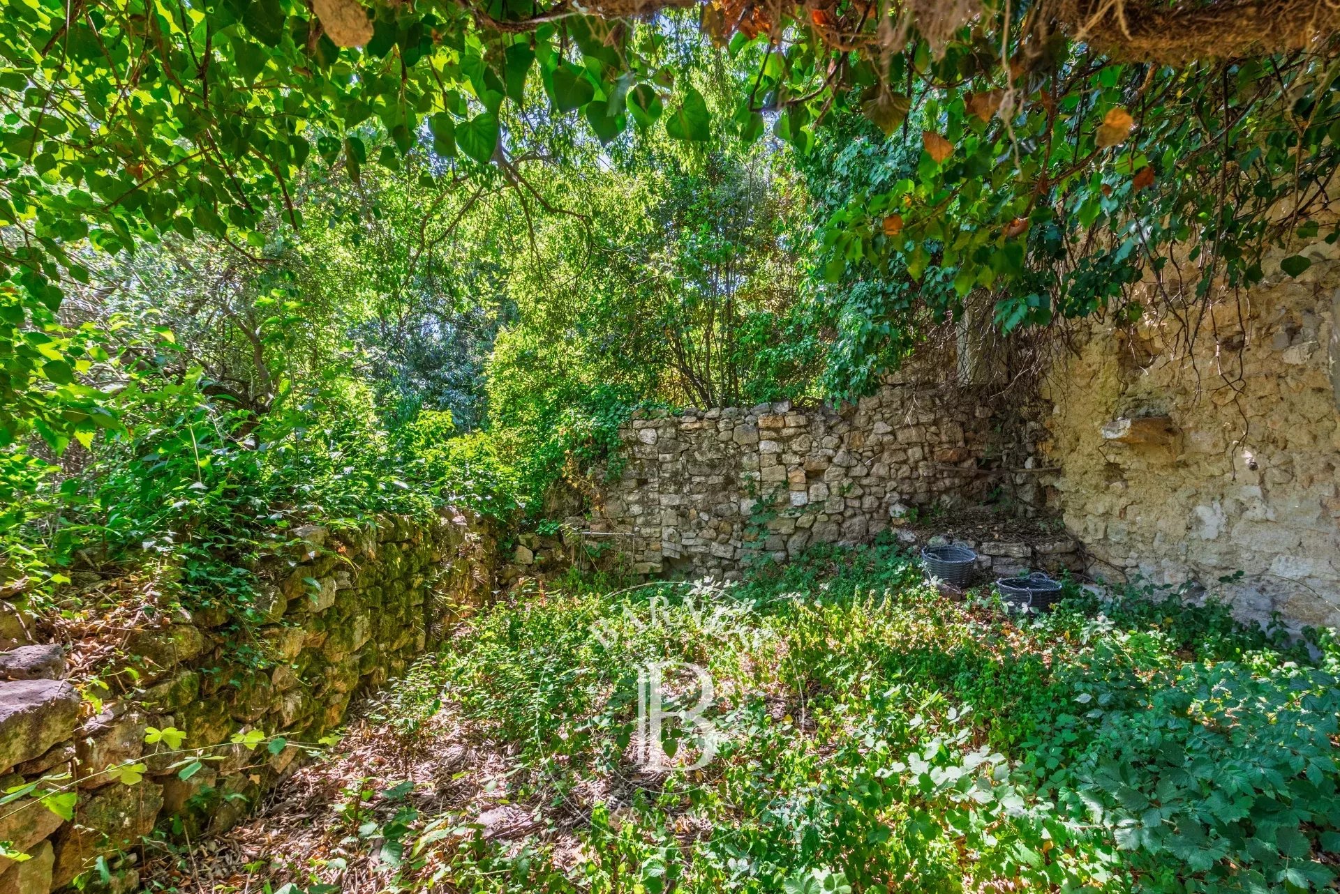 Grasse  - Terrain  - picture 6