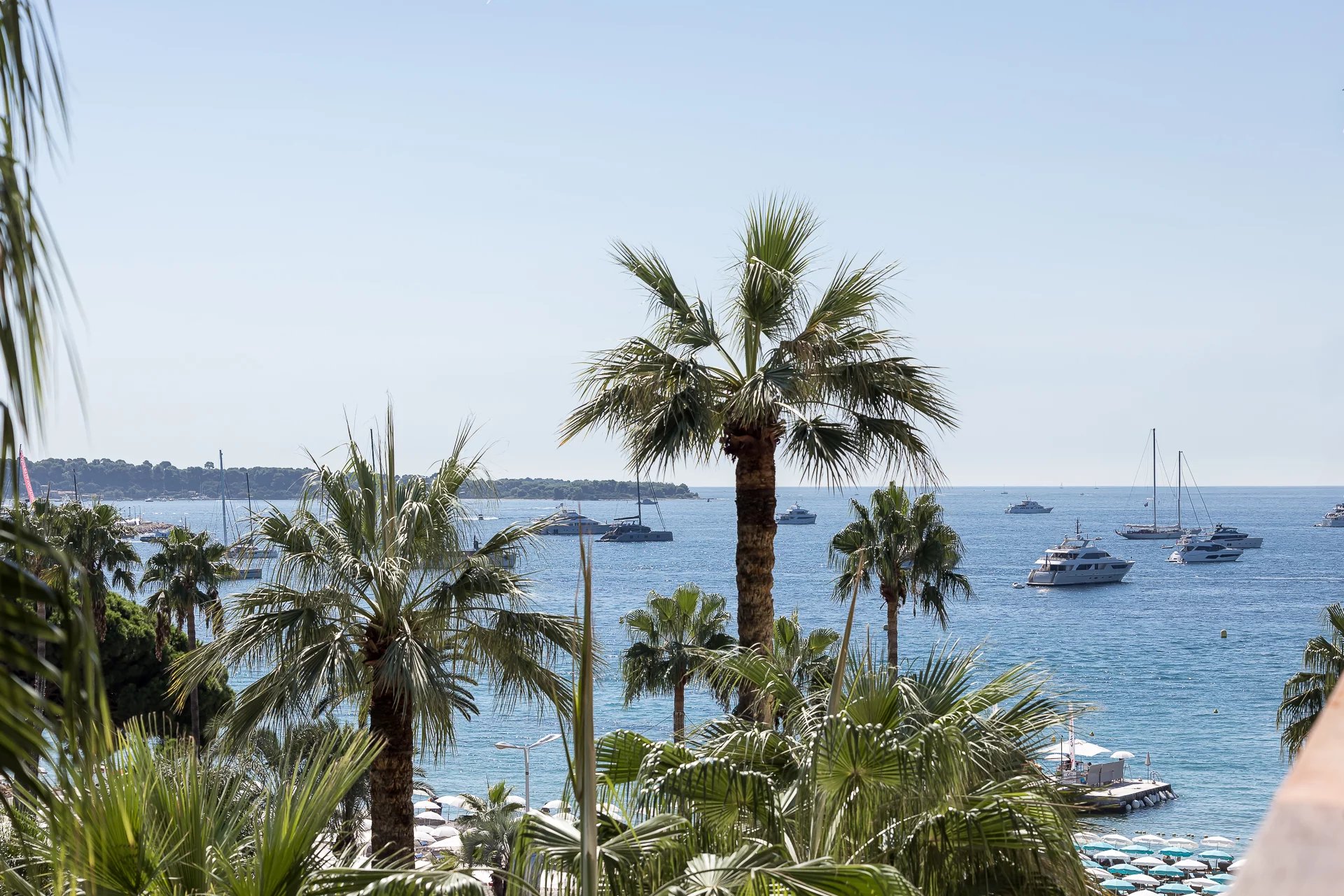 Sale Apartment Cannes Croisette