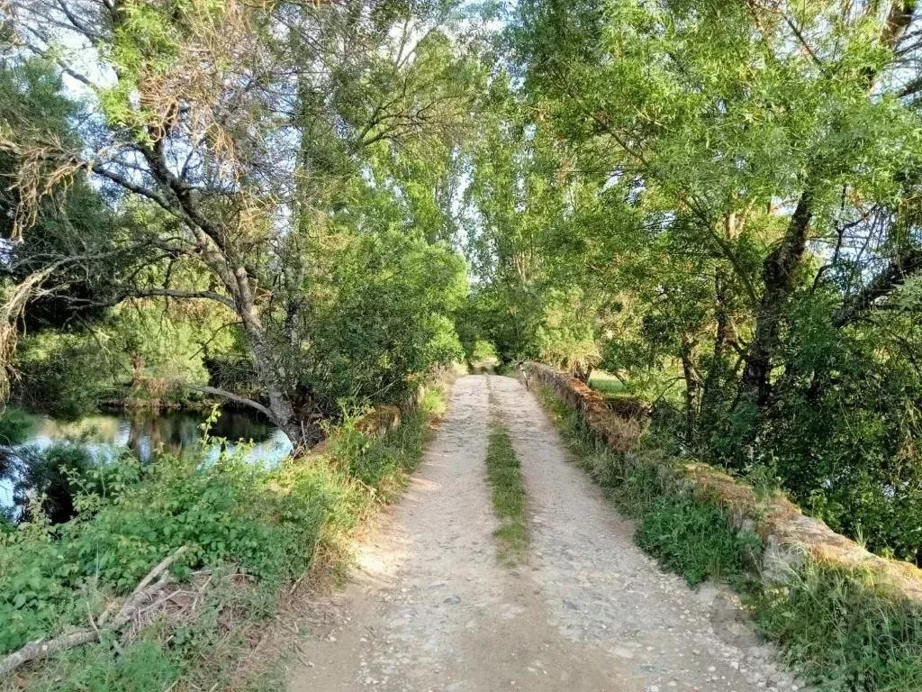 5-Bedroom Villa (2 x 3-Bedroom + 1 x 2-Bedroom Units) 86873882 image 64