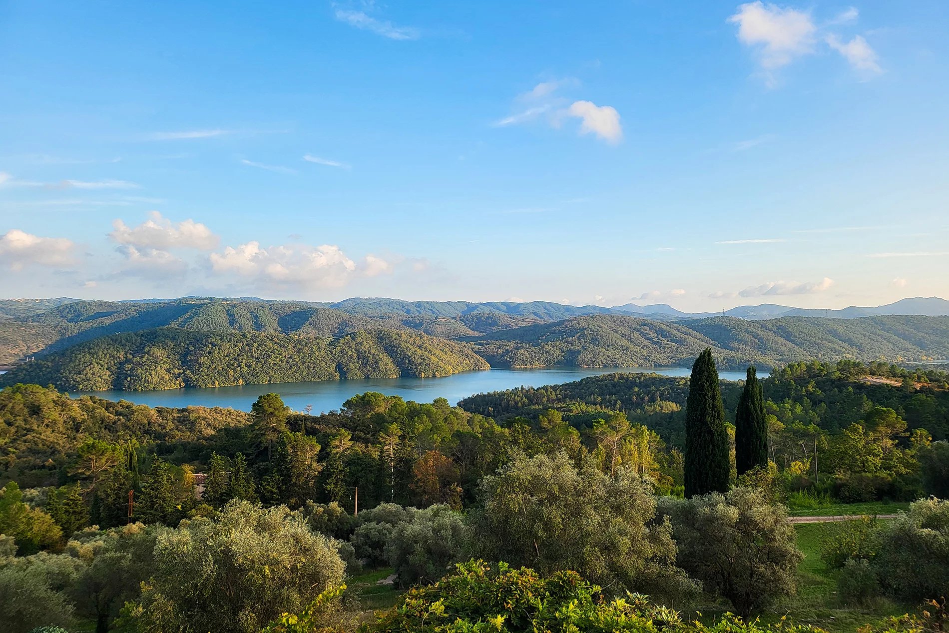 Vente Interactive Montauroux - Maison de 5 chambres dans une 3 hectares oliveraie