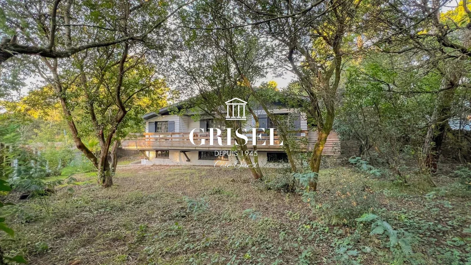 Agence immobilière de Grisel Immobilier Côte Ouest Cap Ferret