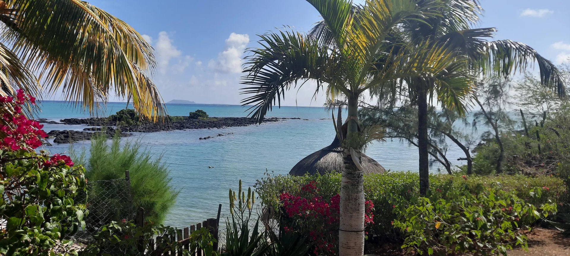 Villa Anse La Raie - picture 11