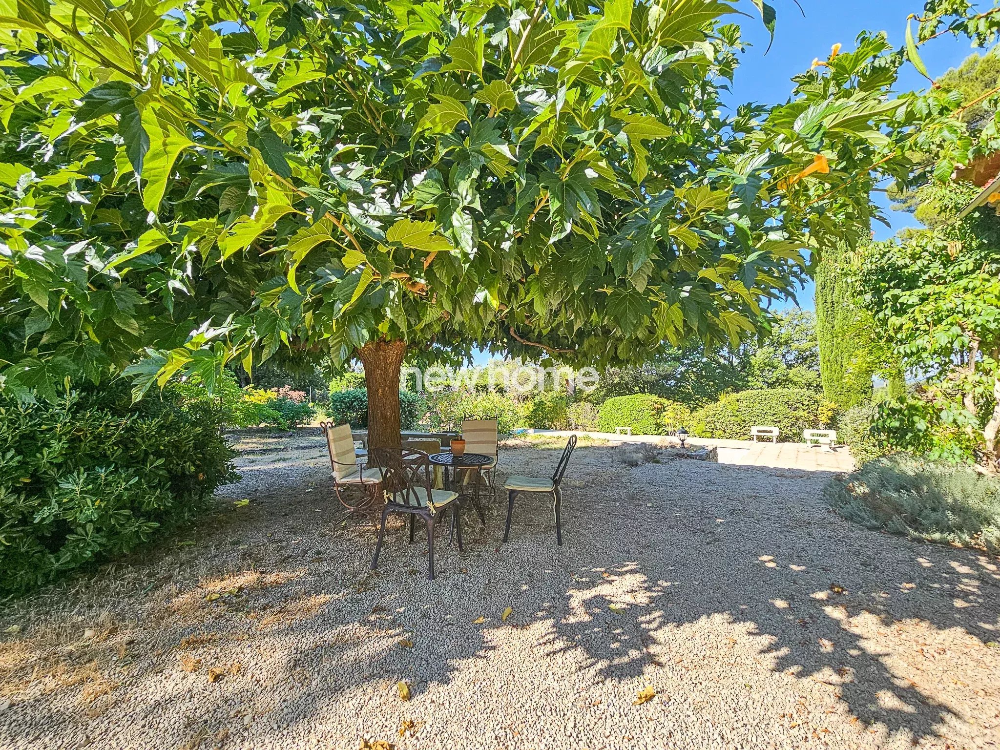 Havre de paix au cur de la nature avec vaste terrain arboré
