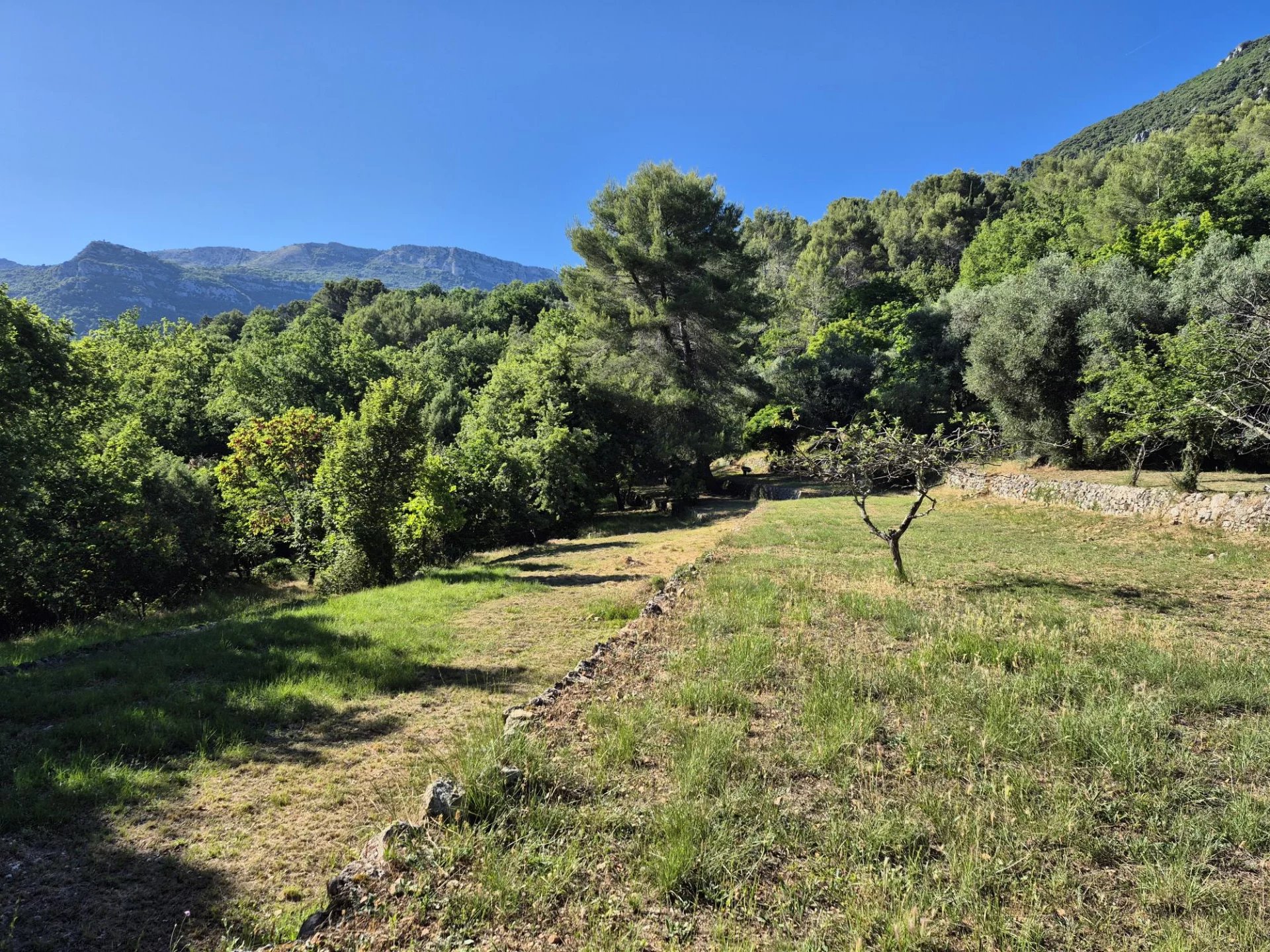  Image of Villa - 5 Bedrooms for Sale in Alpes-Maritimes-Tourrettes-sur-Loup-France, Image 9