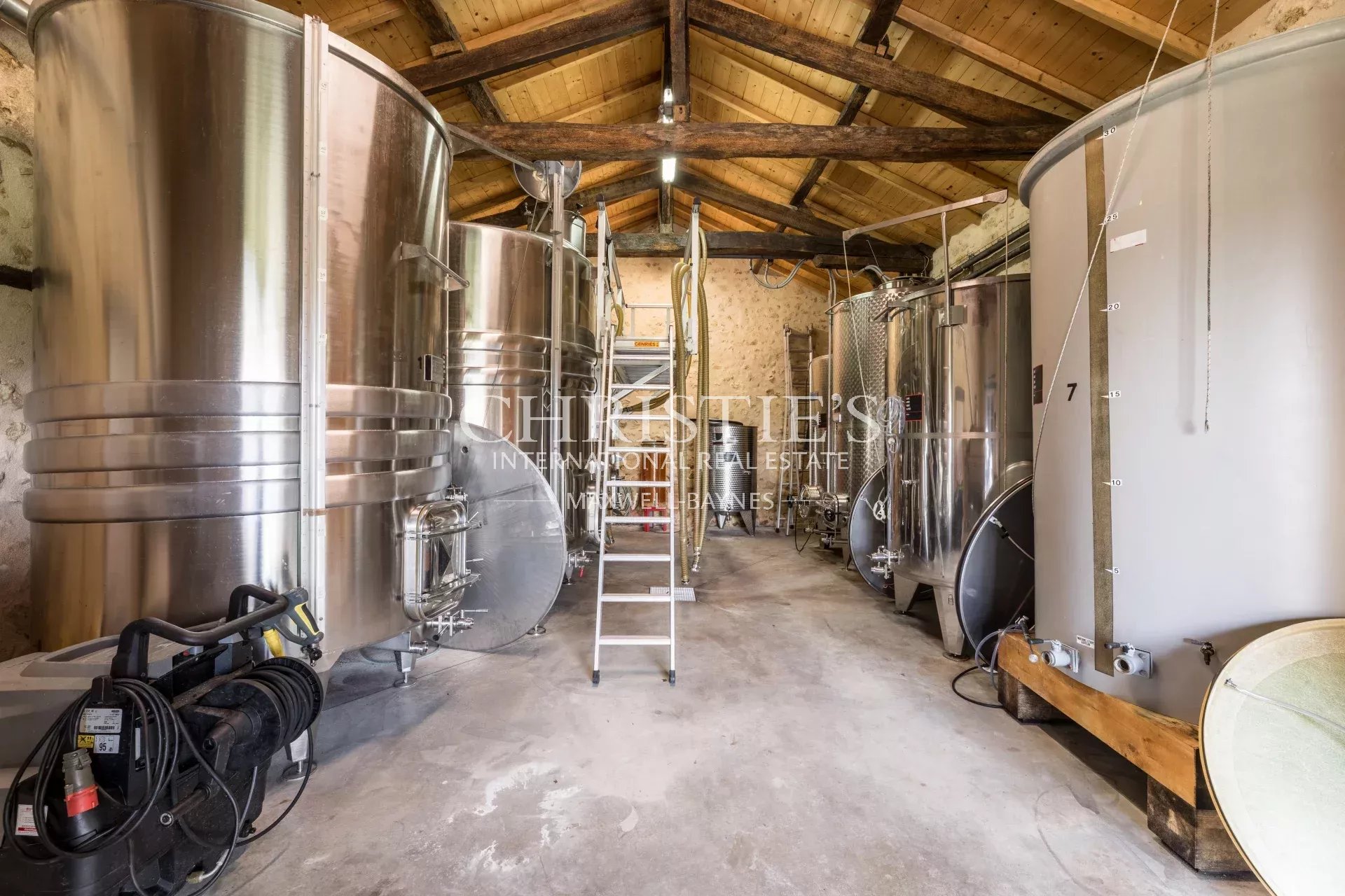 Vineyard's Image 13