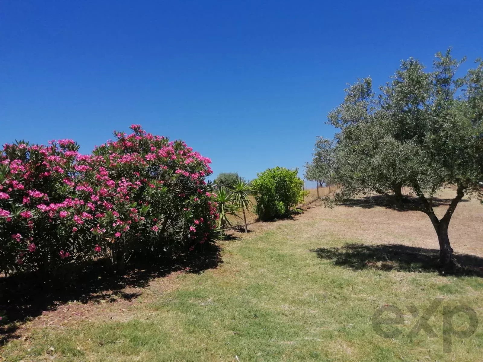 Herdade Cativante in Alentejo: A Tourist Investment with Immeasurable Potential 🌿✨ 86362095 image 53