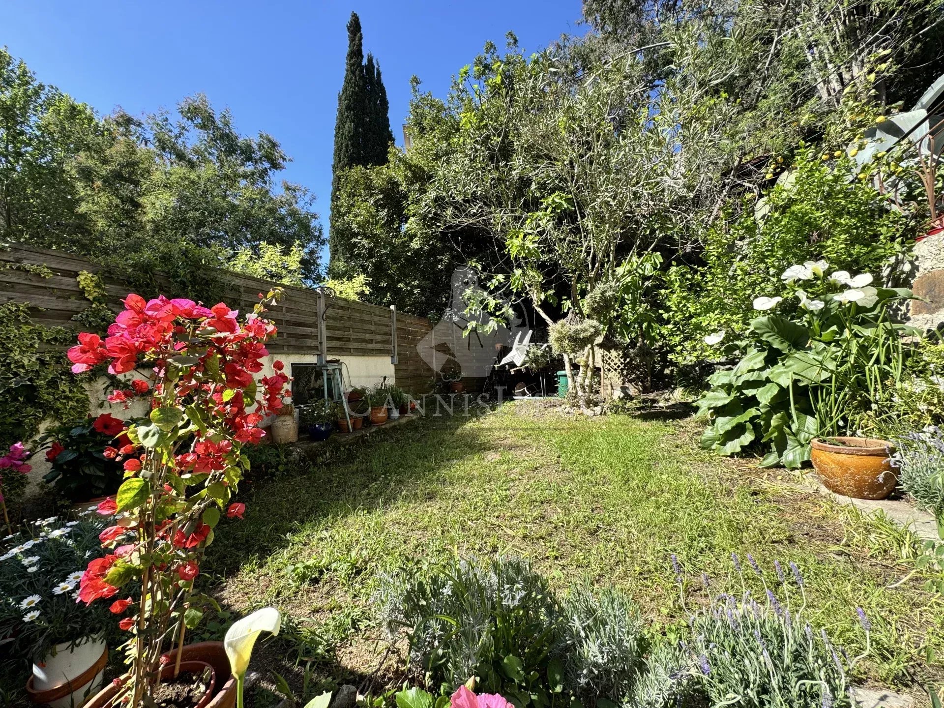Agence immobilière de CANNISIMMO