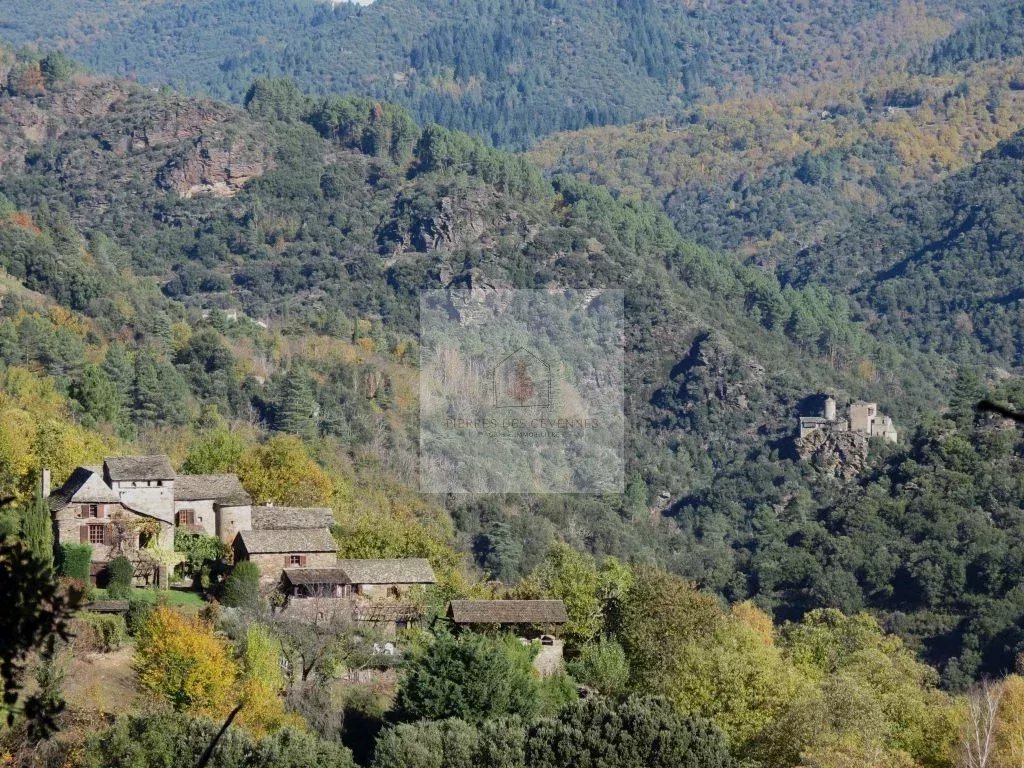 Agence immobilière de Pierres Des Cevennes