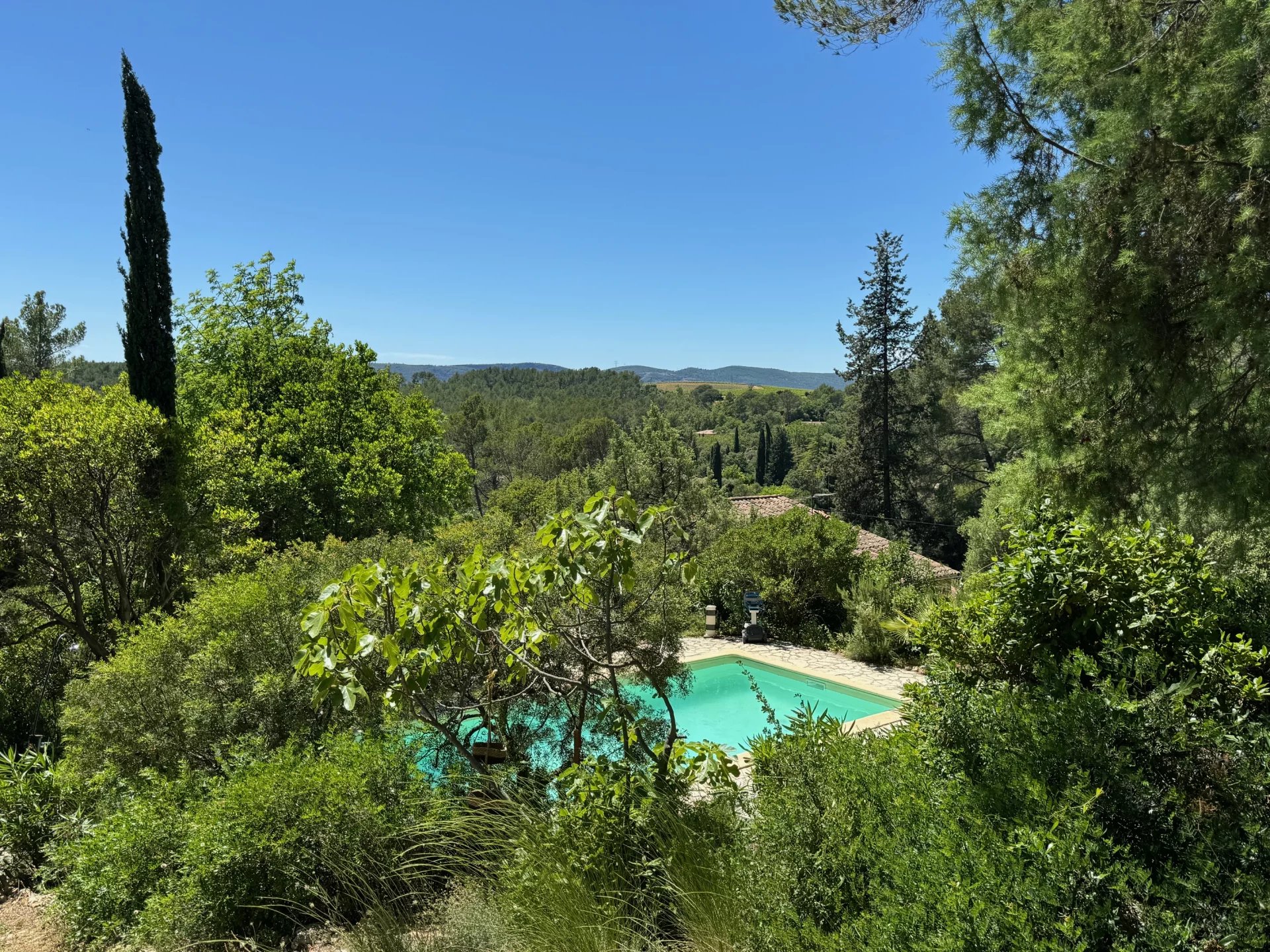 BELLE BASTIDE PROVENÇALE 5 CHAMBRES — photo 16