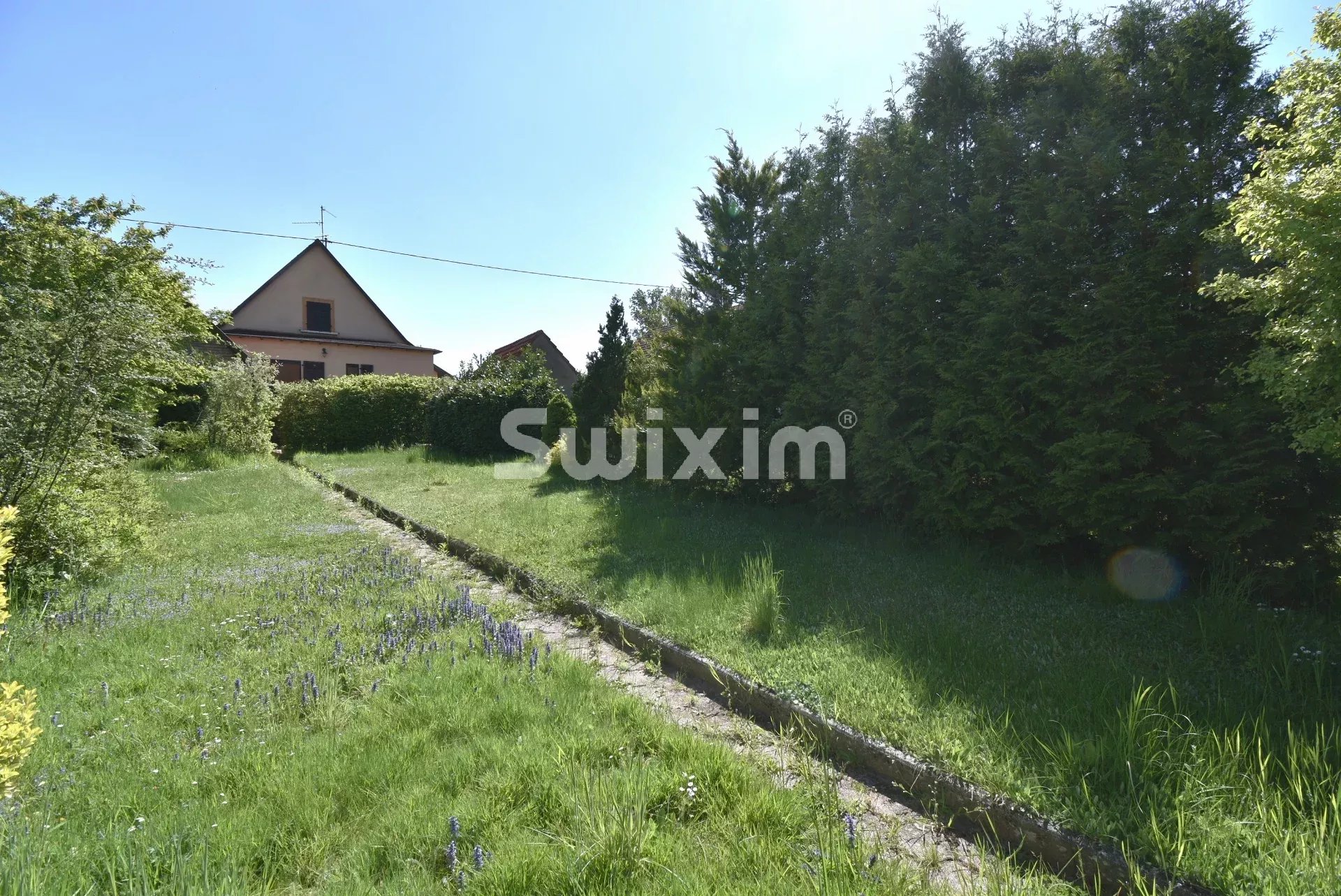 Agence immobilière de SWISS PLAN SAS