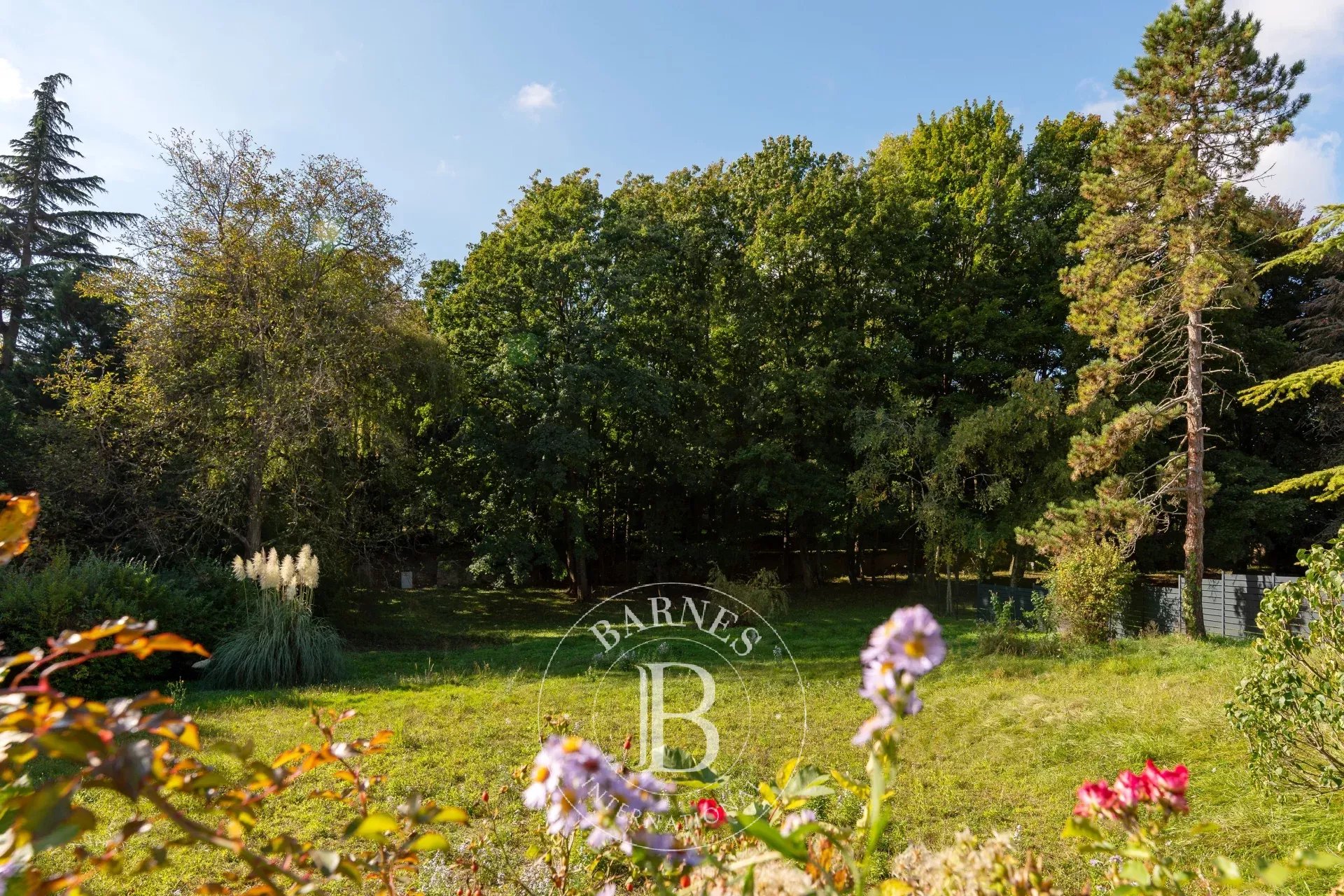 Arazi Saint-Cyr-au-Mont-d'Or