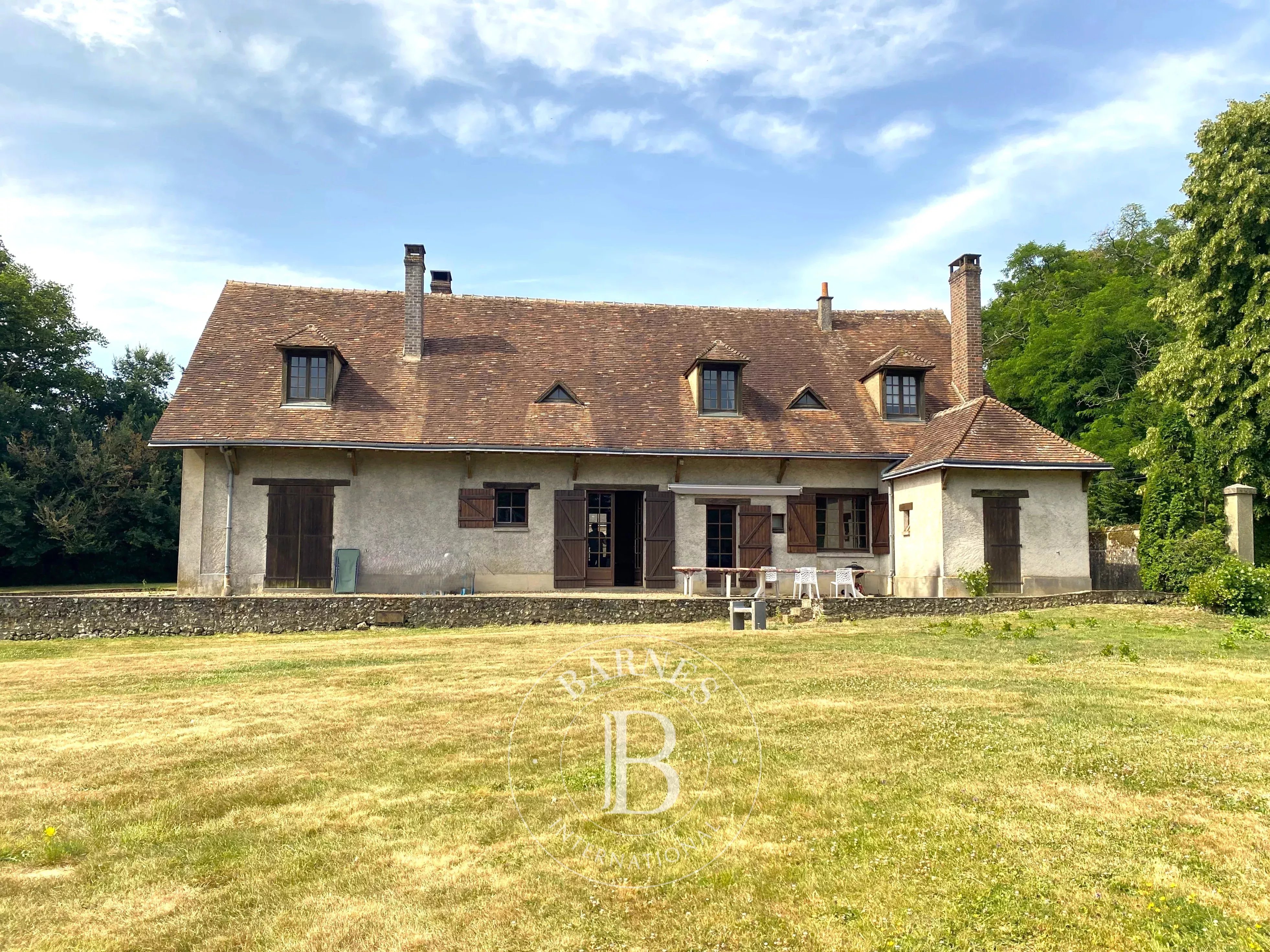 Maison Savigny-sur-Braye  -  ref 86620715 (picture 1)