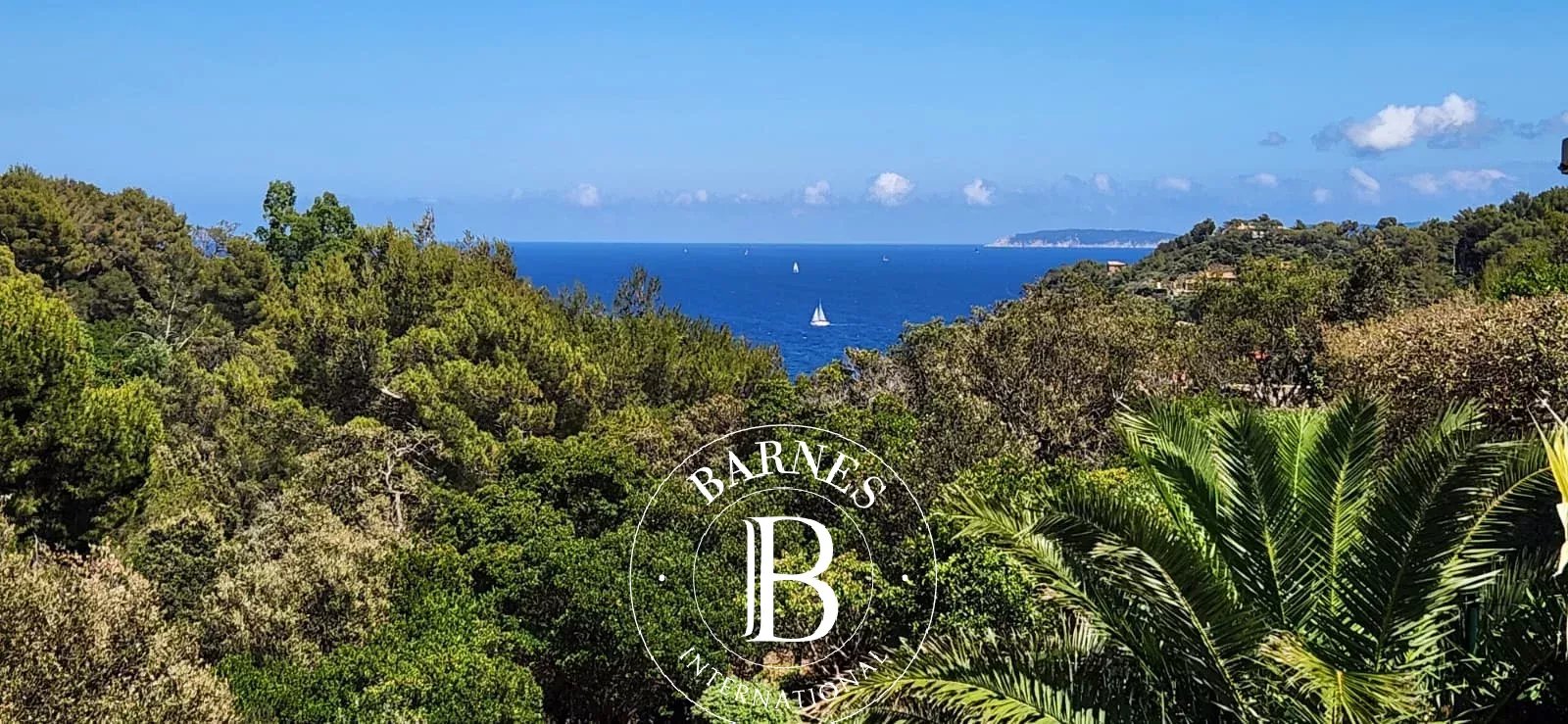 Maison Bormes-les-Mimosas  -  ref 83936686 (picture 1)