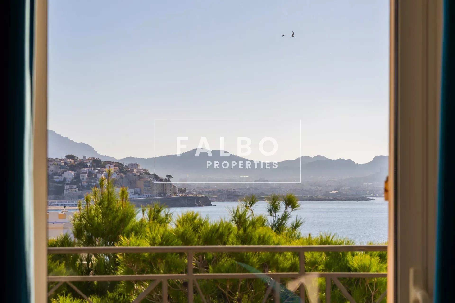 Agence immobilière de SASU Christophe Falbo