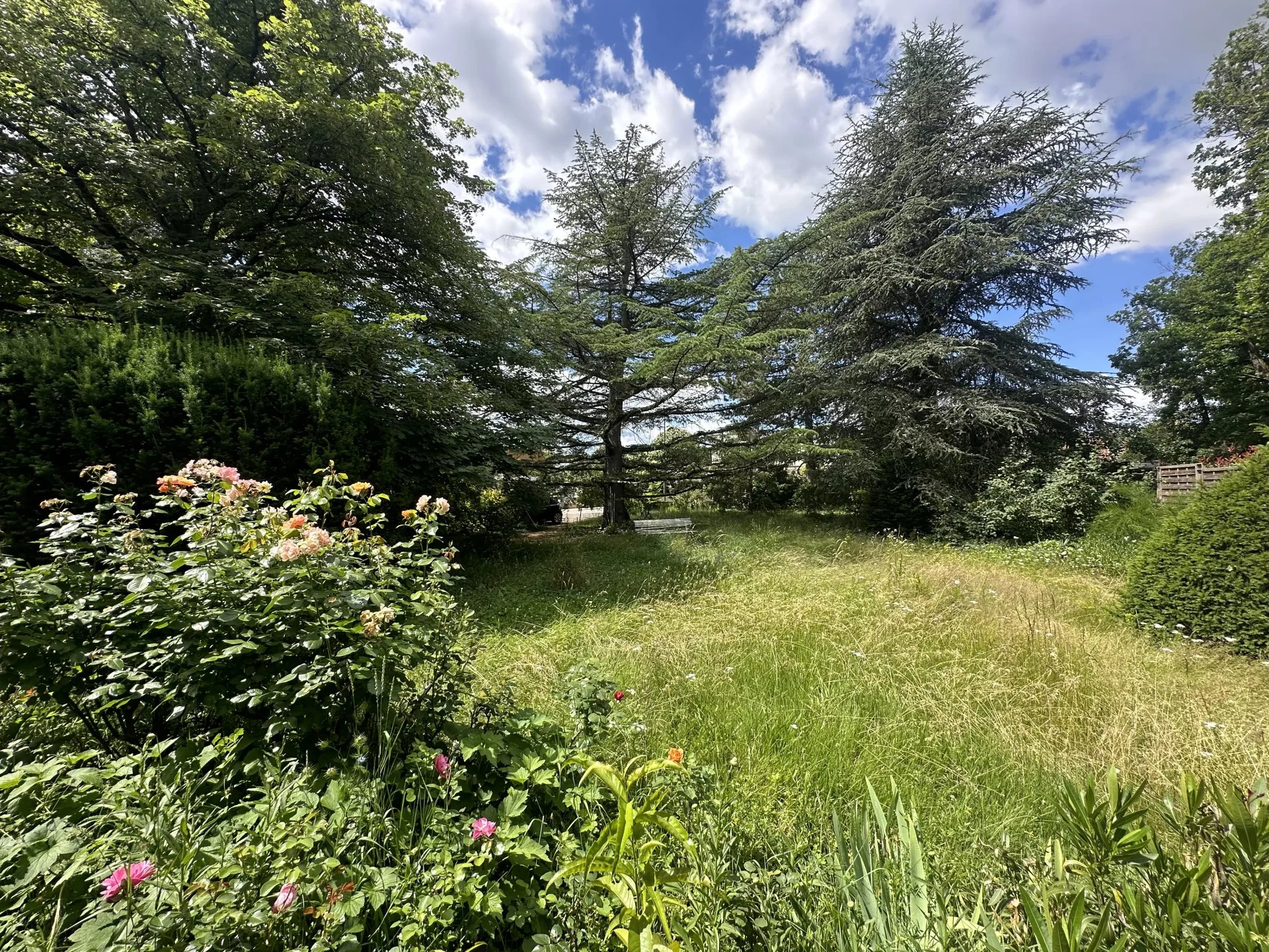 87071736 Vente Tassin-la-Demi-Lune