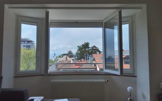 Vignette 5