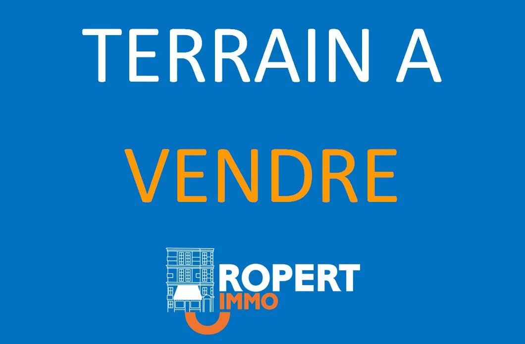 VENTE D'UN GRAND TERRAIN PROFESSIONNEL À BÂTIR À CONFOLENS