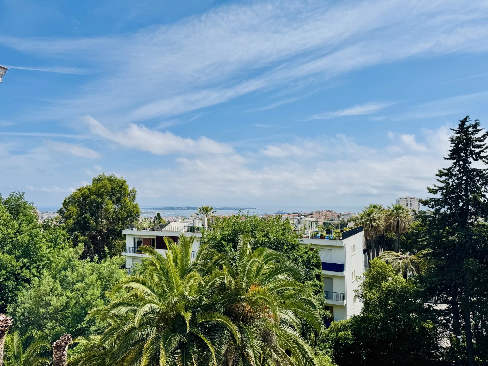 CO EXCLUSIVITE CANNES TASSIGNY - GRAND 2P - TERRASSE SUD VUE MER