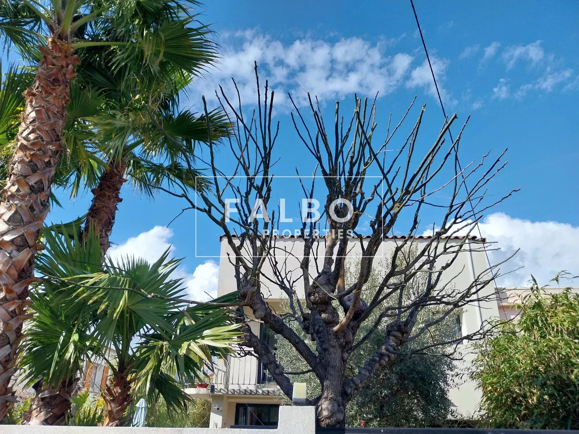 Agence immobilière de SASU Christophe Falbo