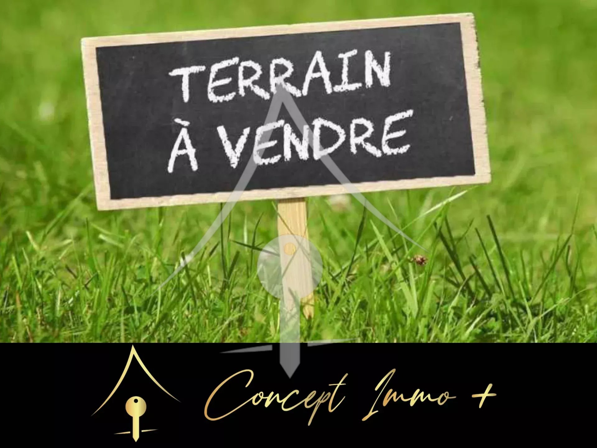 Agence immobilière de Concept Immo +