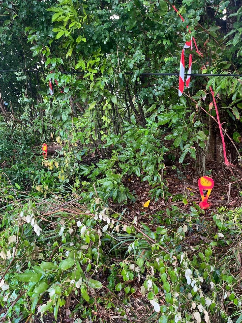 Vente Terrain constructible Saint-François