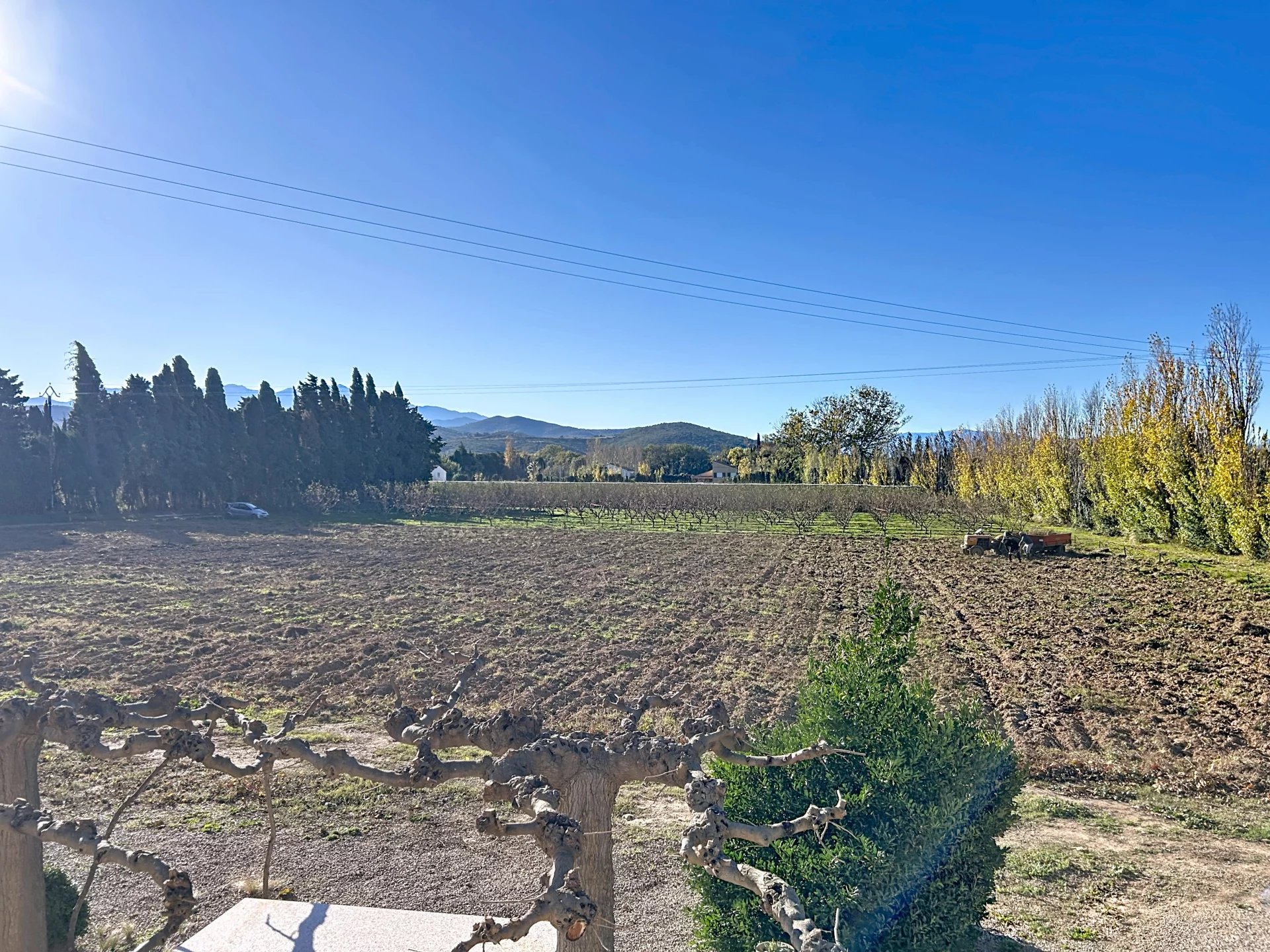 Superbe Mas traditionnel près de Perpignan