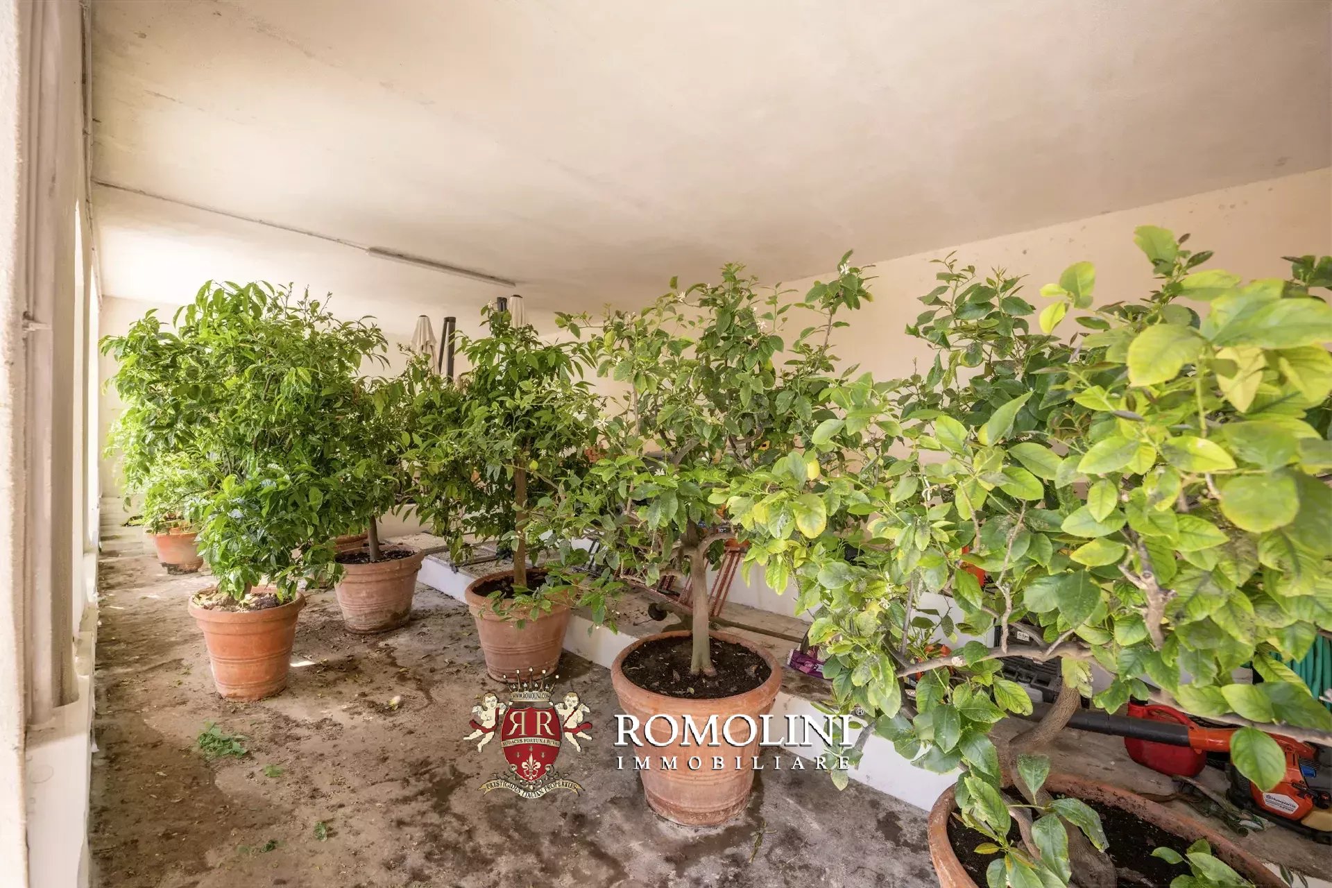 8 Bedroom Villa/Townhouse's Image 63