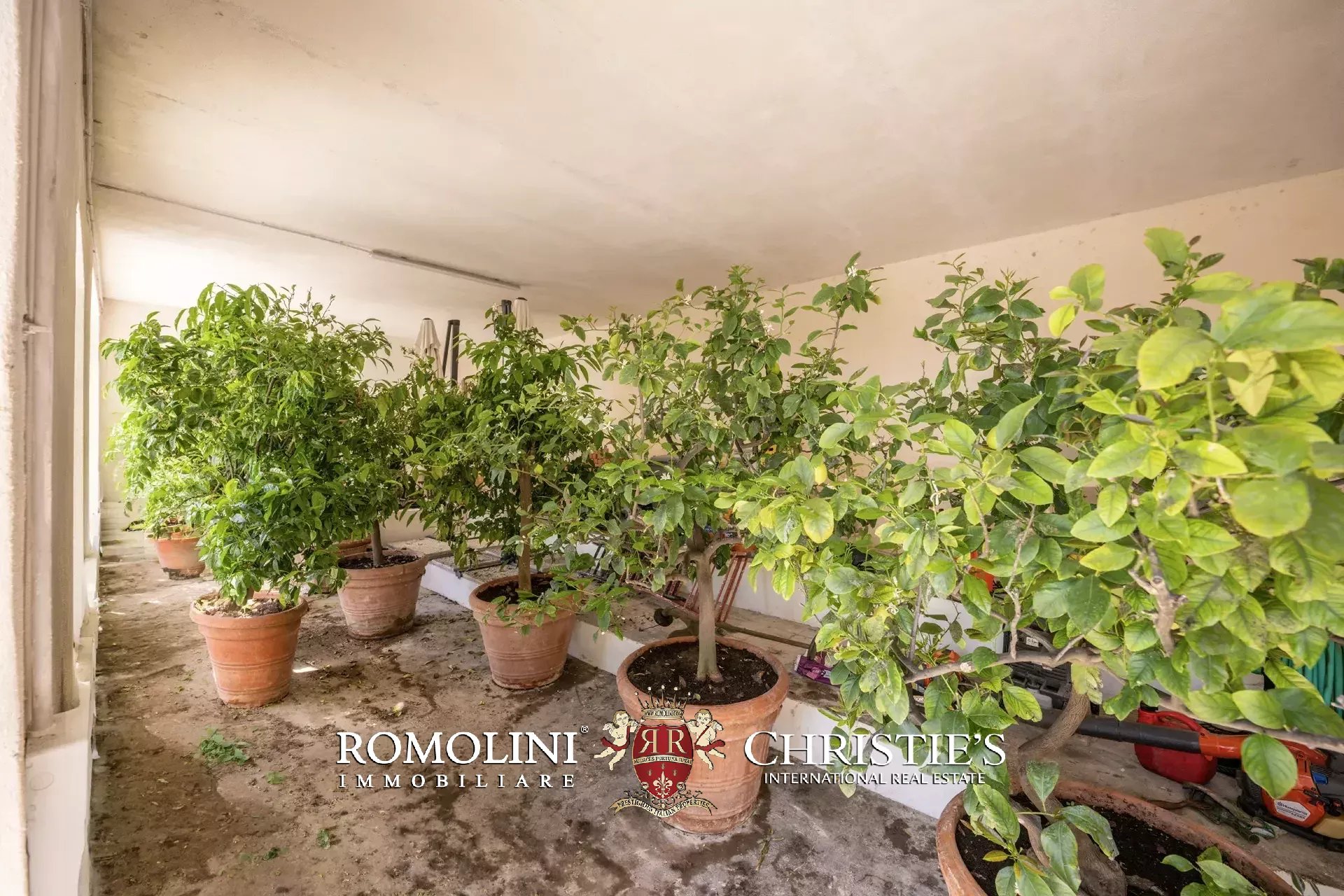 8 Bedroom Villa/Townhouse's Image 63