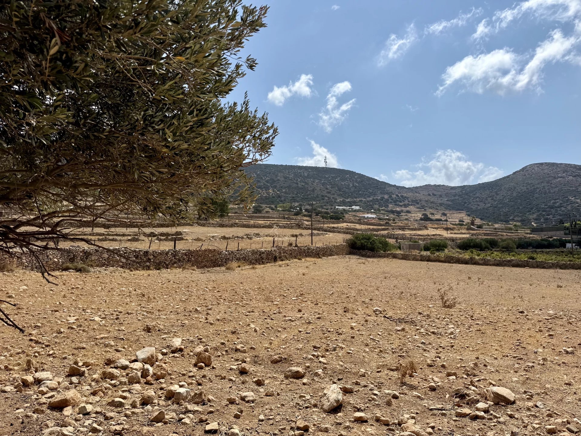 Image de la propriété 5