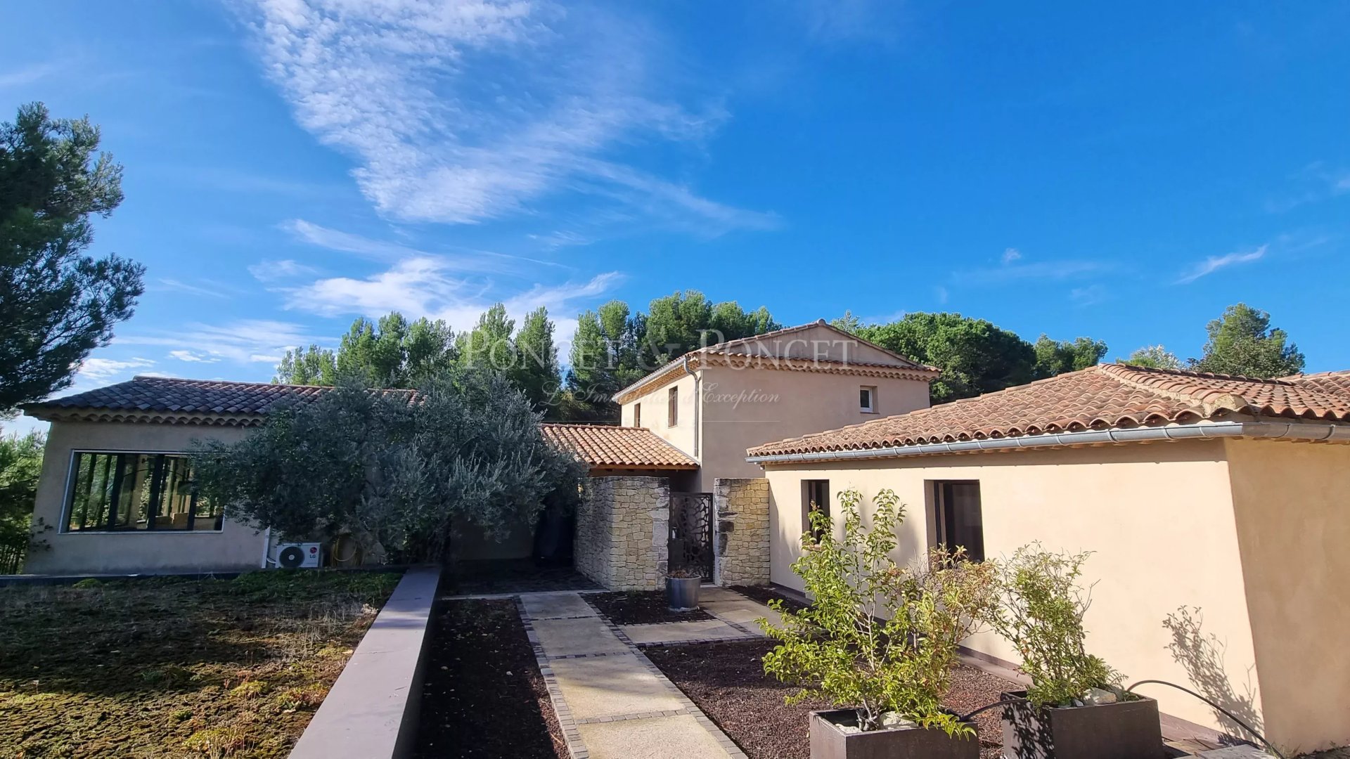 Vineyard's Image 20