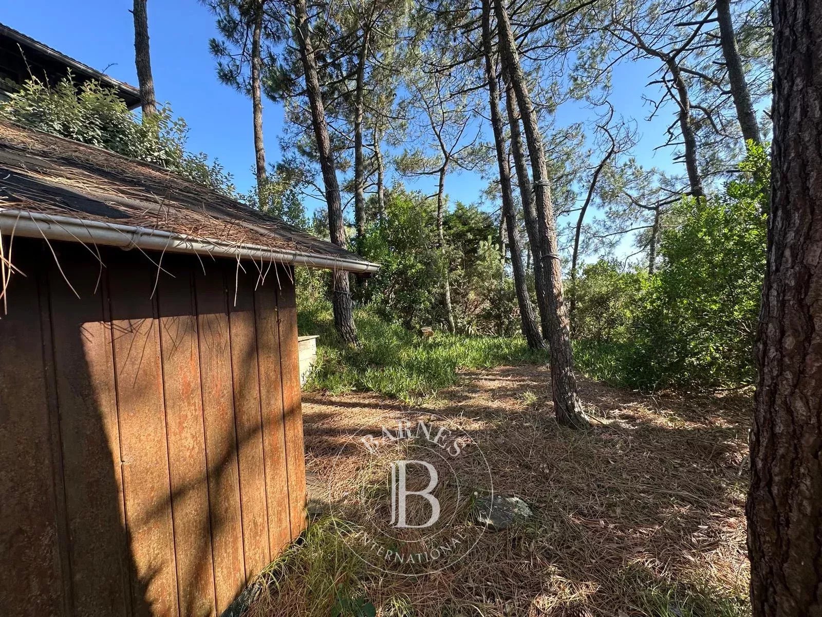 Villa Lège-Cap-Ferret - picture 4