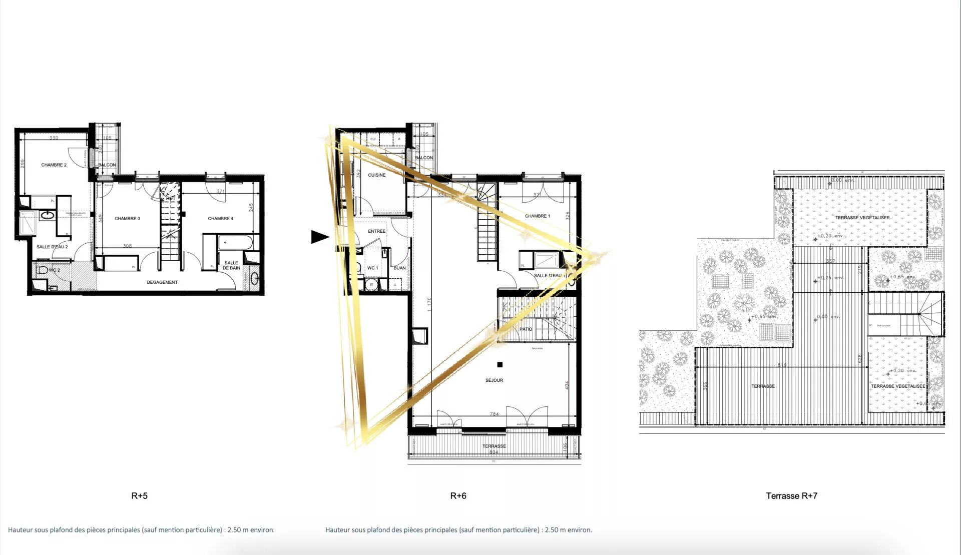 Duplex PLEIN SUD avec 2 balcons et 3 terrasses !