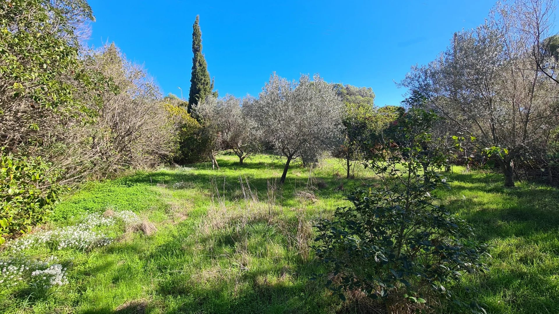 TERRAIN A BATIR AVEC PERMIS EN COURS PROCHE TOUTES COMMODITES A SAINT RAPHAEL