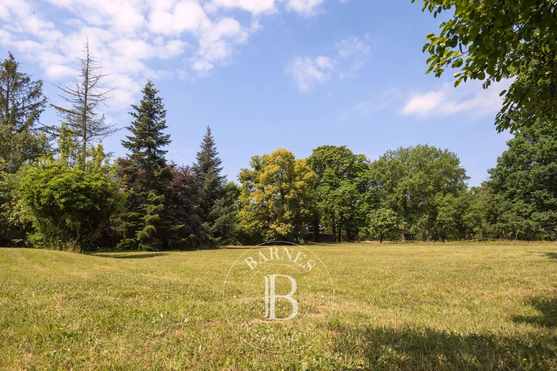 Arazi Écully - picture 6