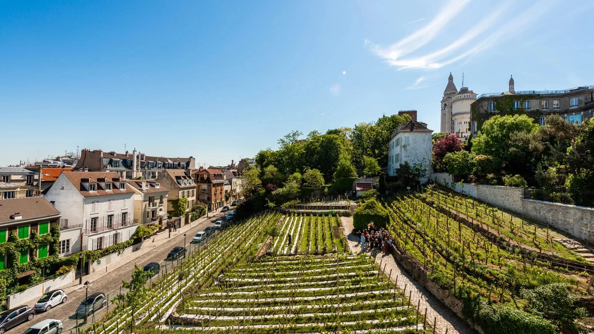Paris 18e - VIGNES DE MONTMARTRE