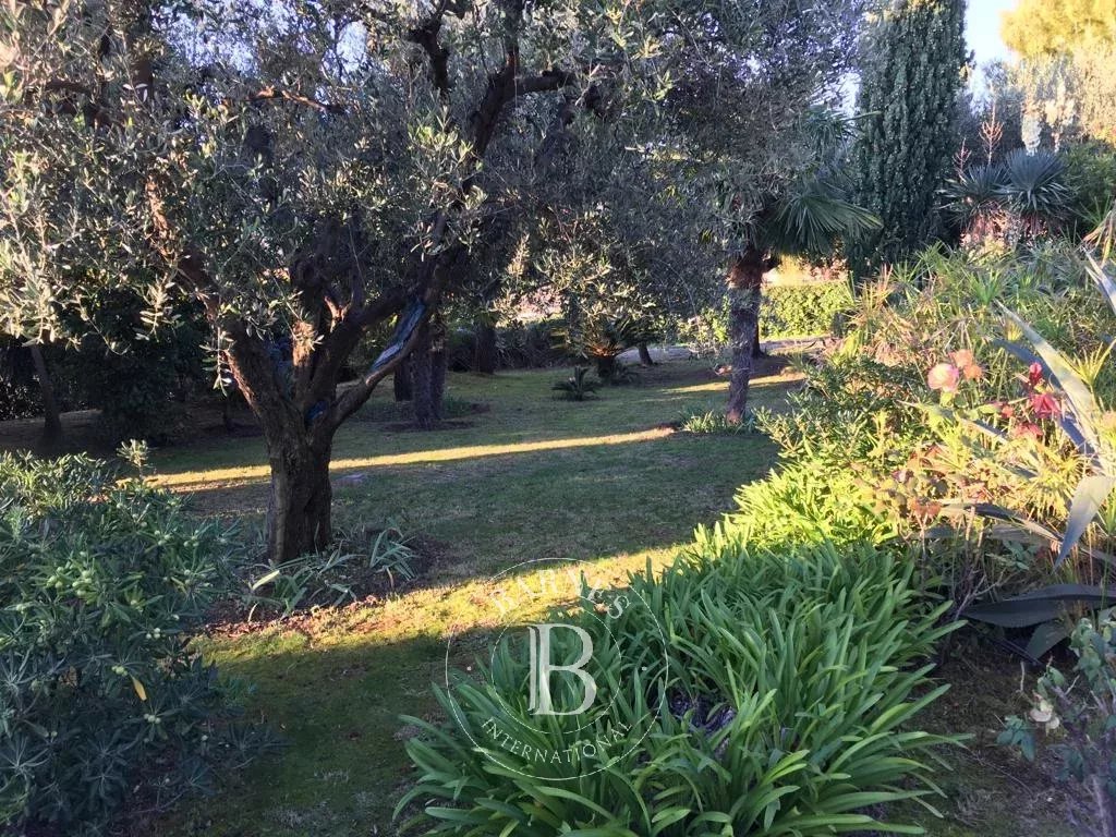 Villa Sanremo - picture 19