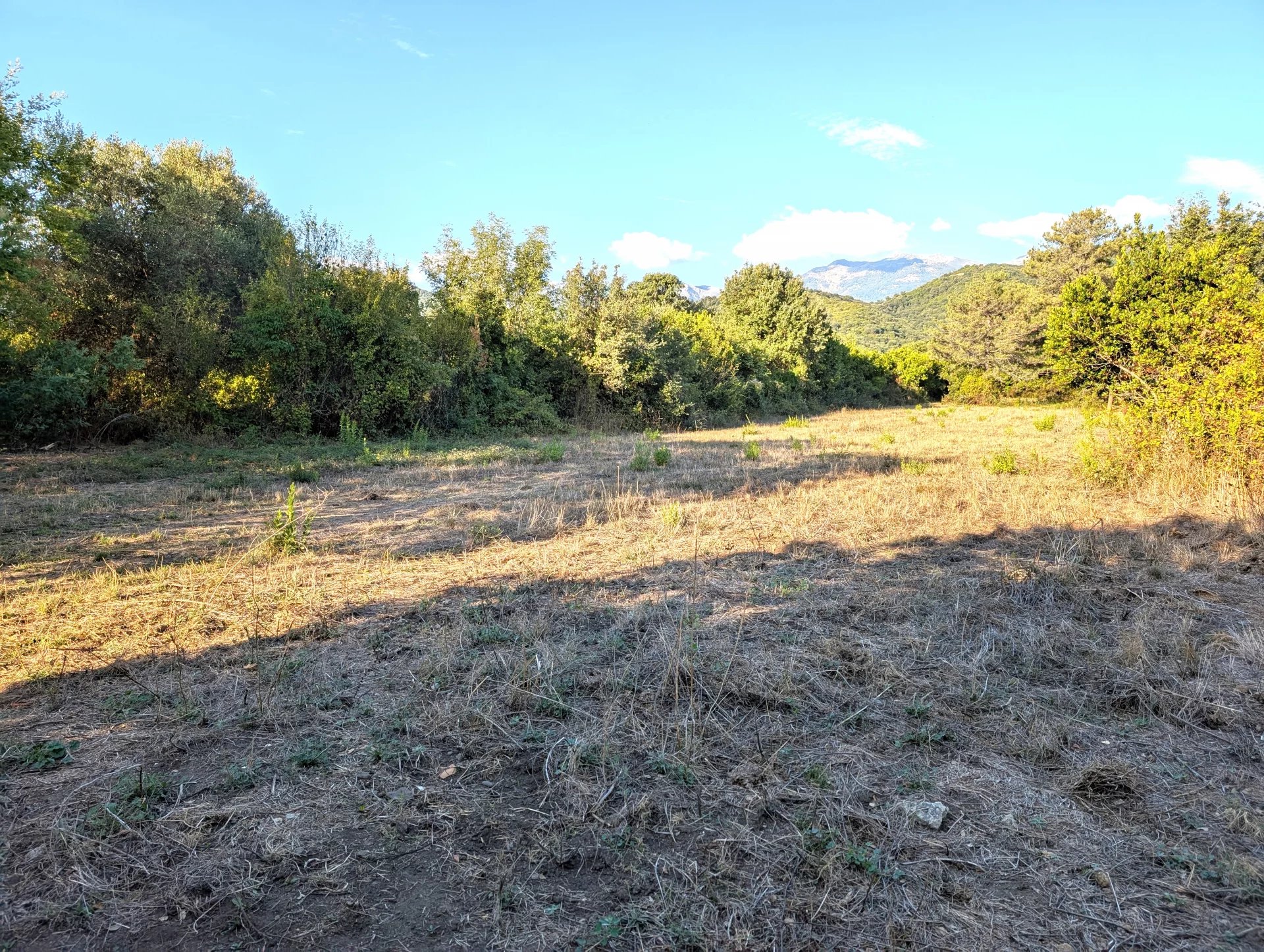 Vente Terrain constructible Prunelli-di-Fiumorbo
