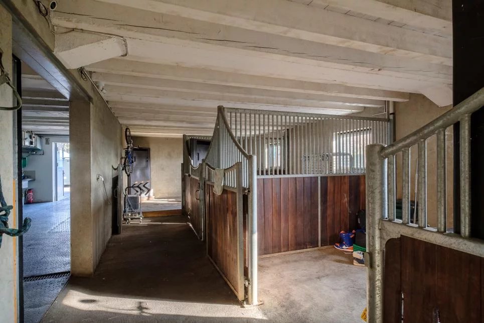 Propriété équestre à Genève Rive gauche