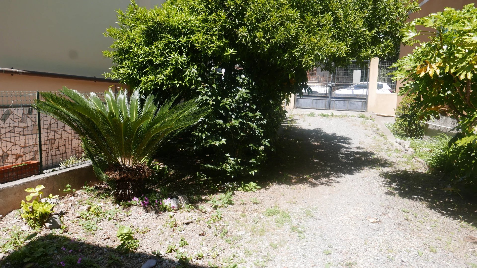 Vendita Casa Vallecrosia
