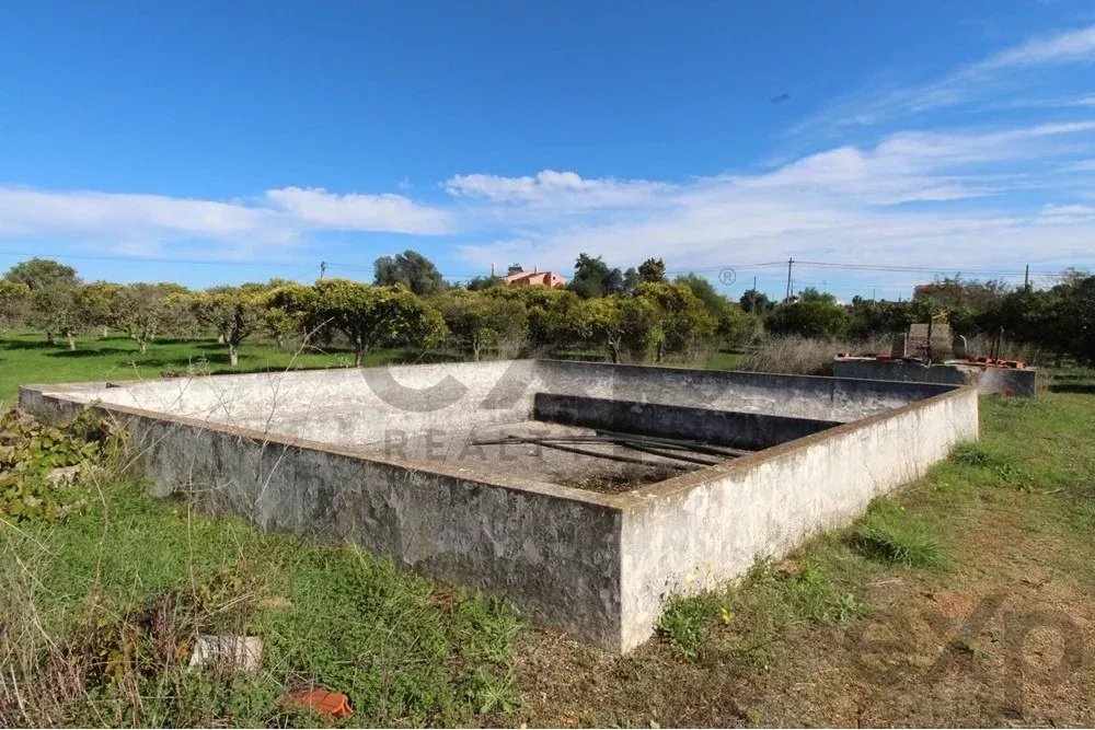 Charming Countryside Gem Near Fuseta 85948757 image 27