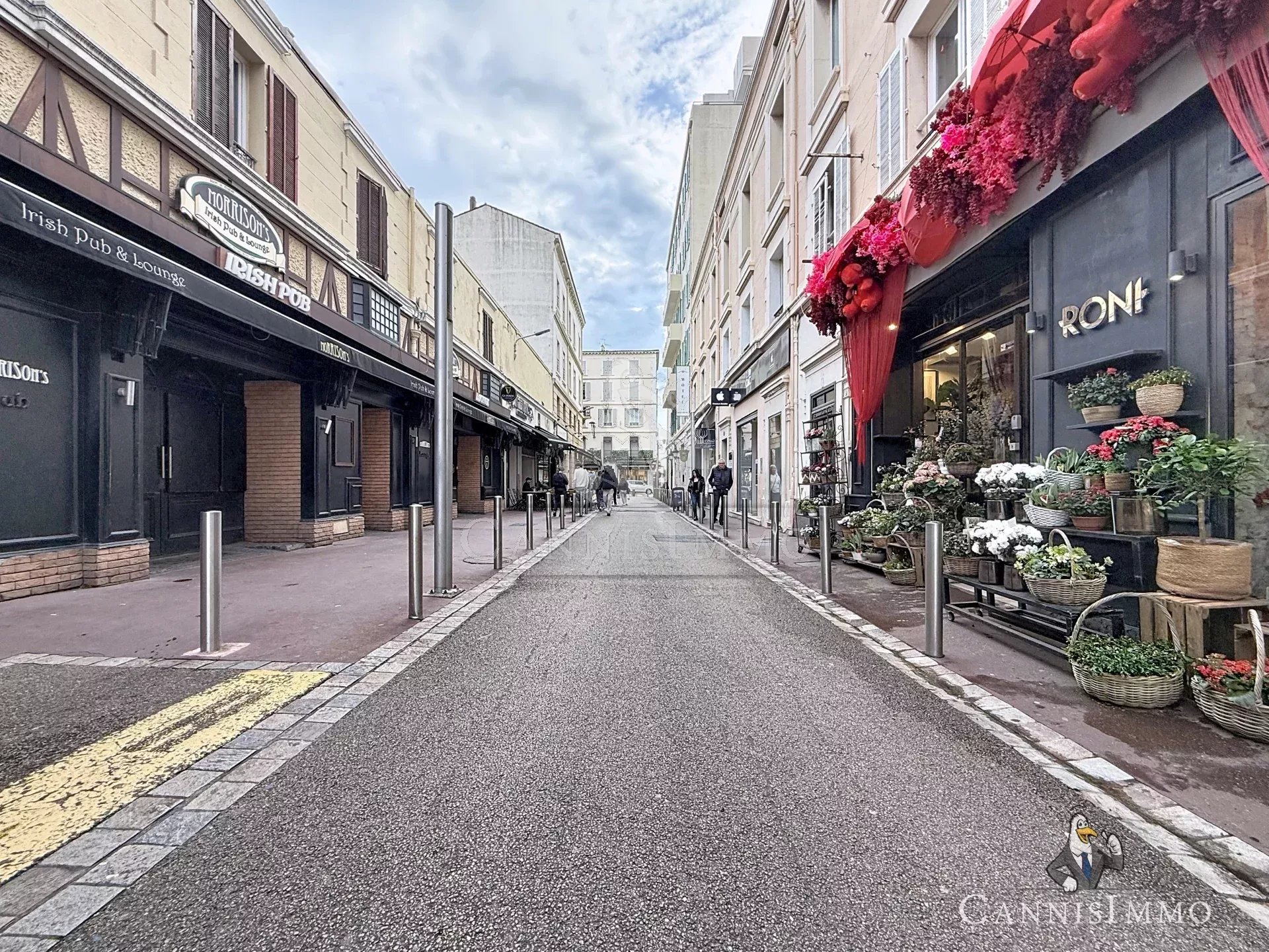 Agence immobilière de CANNISIMMO