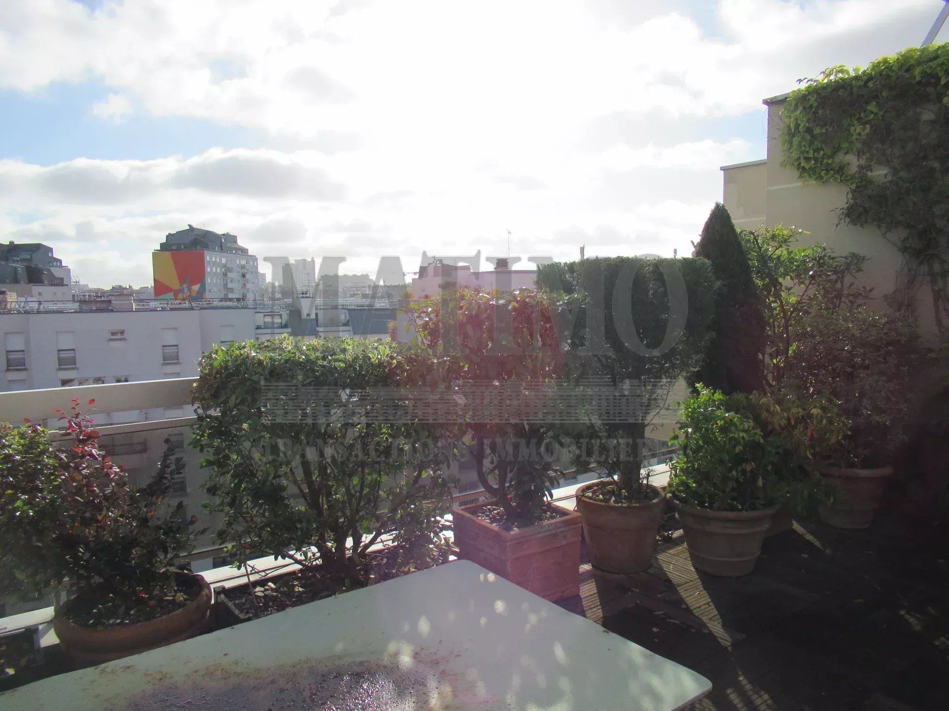 3P rue Fondary 75015 Terrasses et box.