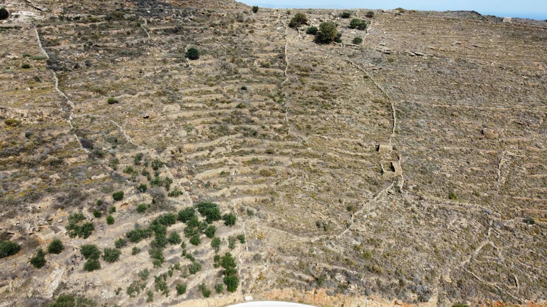 Εικόνα ιδιοκτησίας 5