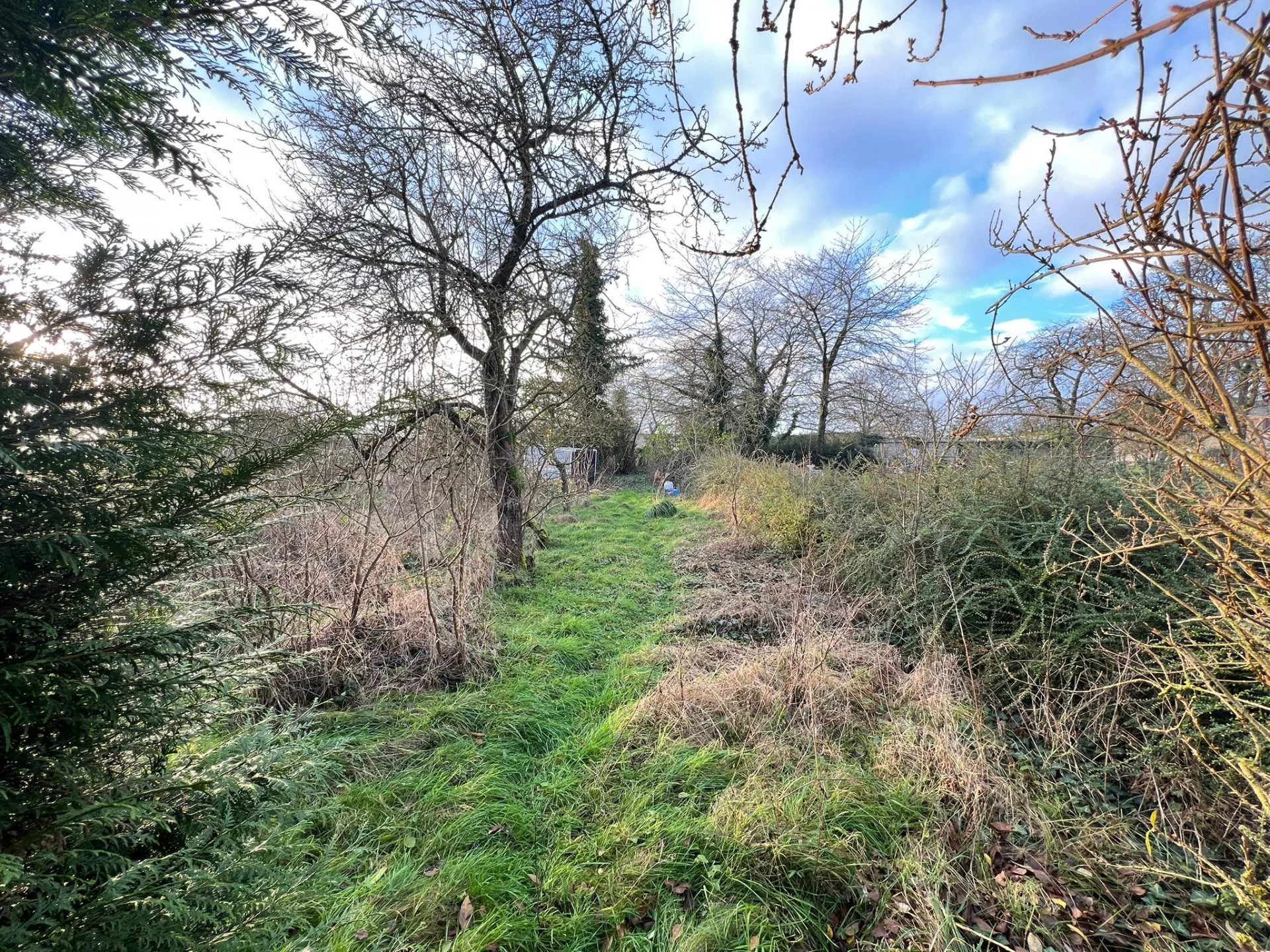 Agence immobilière de Elya Immobilier